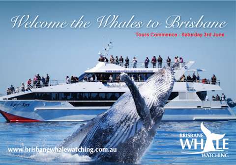 Photo: Brisbane Whale Watching